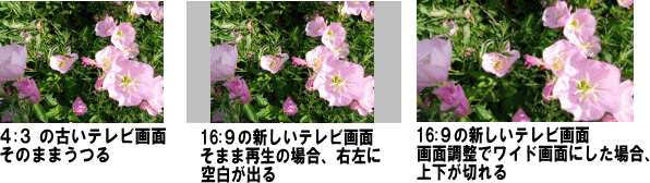 シングアロングDVDとブルーレイの違い２